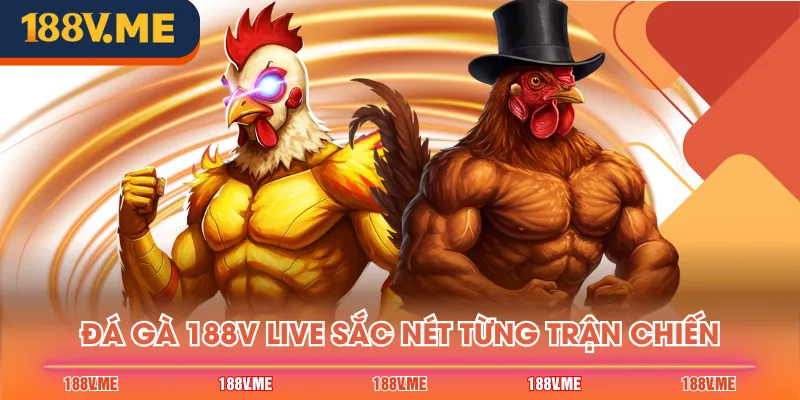 Đá gà 188V live sắc nét từng trận chiến